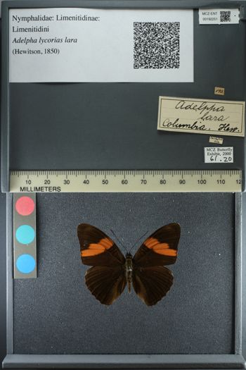 Media type: image;   Entomology 192251